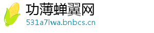 功薄蝉翼网